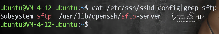 图片[1]全球主机资源-域名信息-美国VPS-建站教程普通用户通过WinSCP登录后切换到root用户的方法
